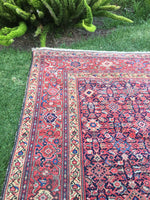 6'4" x 13'5" Antique Mahal Rug - Blue Parakeet Rugs