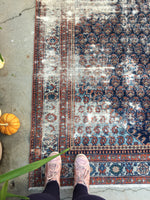 [vintage rugs] - Blue Parakeet Rugs