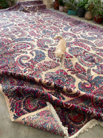 12x20 Ivory Persian Kerman Rug / #JLrug - Blue Parakeet Rugs