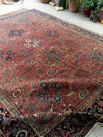 [vintage rugs] - Blue Parakeet Rugs