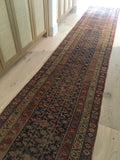 3'2 x 16'7  Love Worn Caucasian Runner (#431) - Blue Parakeet Rugs