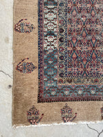 4'6" x 10' Antique Persian Camel Hair rug #1925C / 5x10 Vintage Rug - Blue Parakeet Rugs