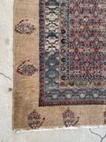 4'6" x 10' Antique Persian Camel Hair rug #1925C / 5x10 Vintage Rug - Blue Parakeet Rugs