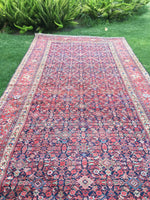 6'4" x 13'5" Antique Mahal Rug - Blue Parakeet Rugs