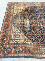 [vintage rugs] - Blue Parakeet Rugs