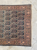 4’3 x 6’2  Antique Persian Senneh #2362 / Small Persian Rug - Blue Parakeet Rugs