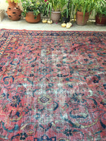 [vintage rugs] - Blue Parakeet Rugs