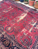 8’9 x 11’6 Turkish Sparta Rug - Blue Parakeet Rugs