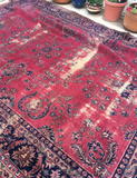 8’9 x 11’6 Turkish Sparta Rug - Blue Parakeet Rugs