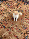 12x20 Palatial Antique Camel Ground rug - Blue Parakeet Rugs