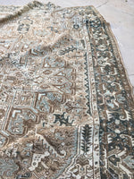 [vintage rugs] - Blue Parakeet Rugs