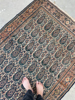 4’3 x 6’2  Antique Persian Senneh #2362 / Small Persian Rug - Blue Parakeet Rugs
