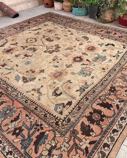 10’10 x 10’10 Ivory Sultanabad Mahal #2204 / Large square vintage rug - Blue Parakeet Rugs