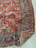 [vintage rugs] - Blue Parakeet Rugs