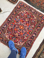 2’5 x 3’2 antique Sarouk Mat Rug - Blue Parakeet Rugs
